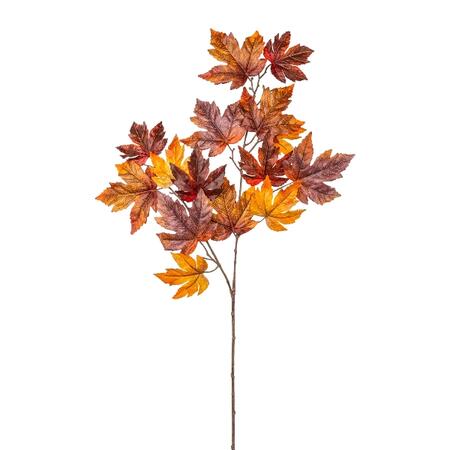 Maple leaf branch, 90cm, coloured