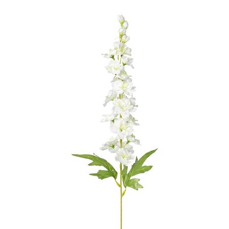 Delphinium, 86cm, white