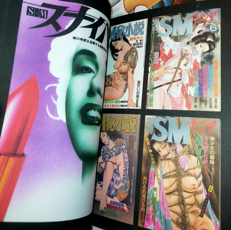 BDSM Magazines from Japan 