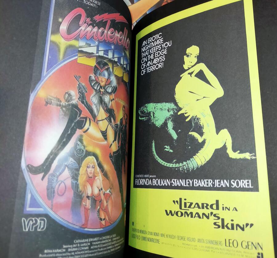 Sexploiation Movie Posters