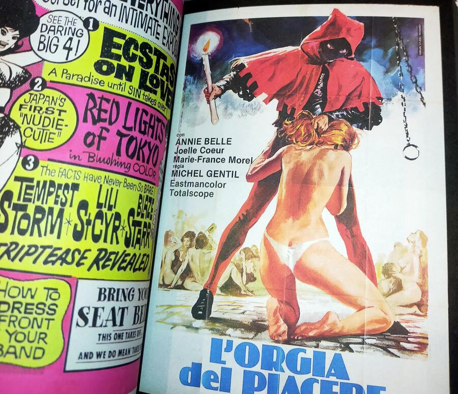 Sexploiation Movie Posters