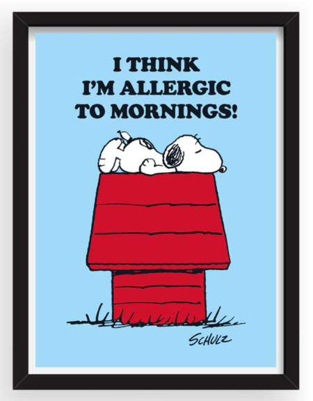 Peanuts: Allergic to Mornings - Stampa A3 (29,7x42cm) cm incorniciata