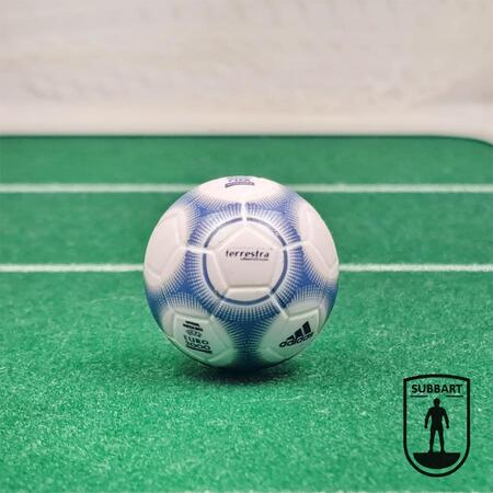 EUROPEI 2000 TERRESTRA