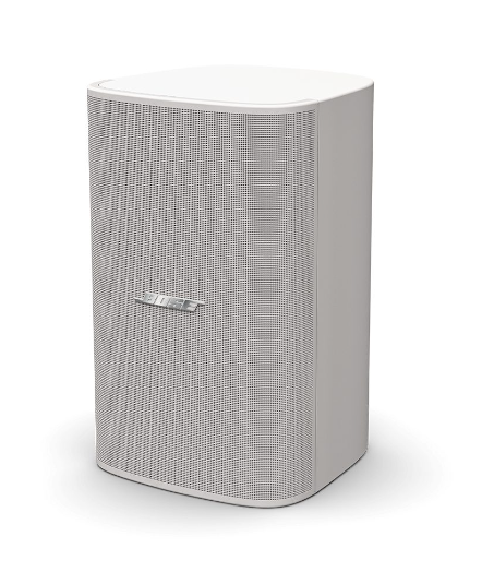 Bose DesignMax DM8SE