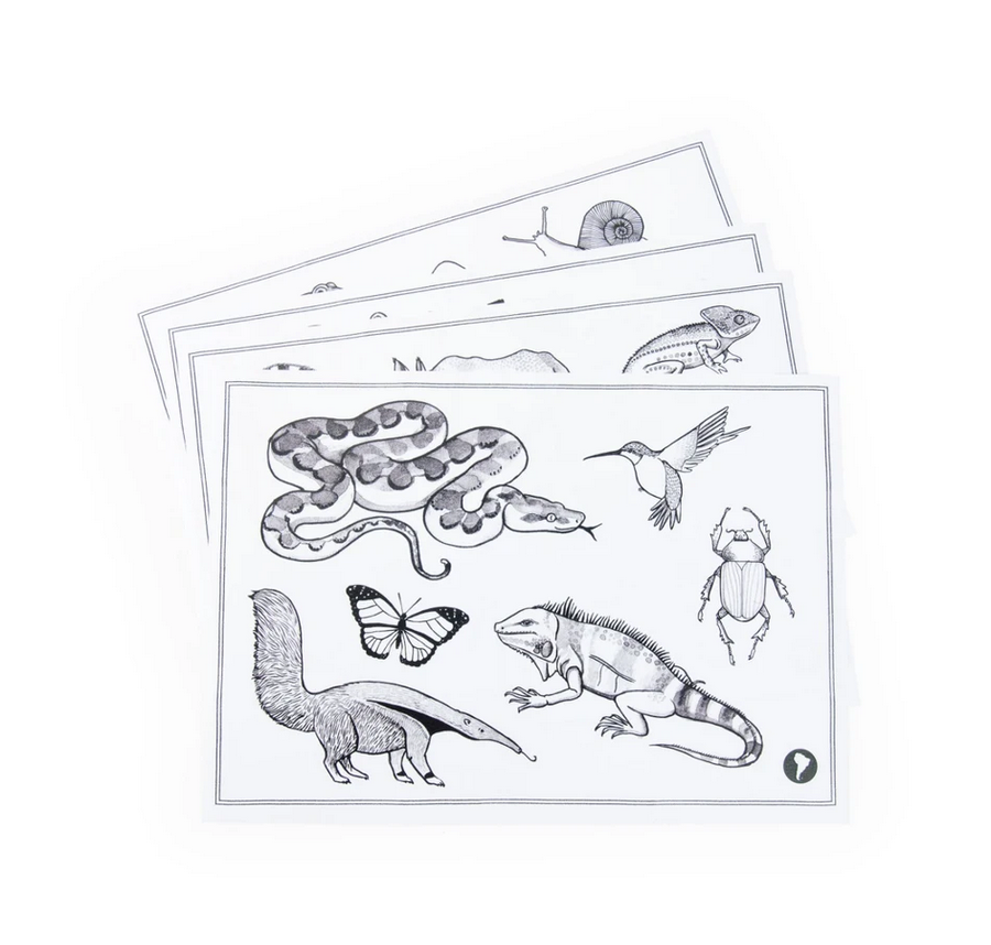 Tavoletta luminosa per disegnare e scrivere