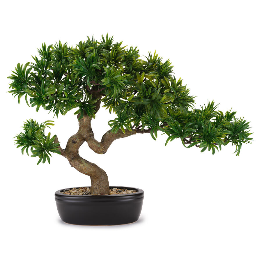Henriette - Bonsai Tasso Giapponese con Vaso in Ceramica – Fiori Artificiali Multicolor 50×43 cm | Collezione Flowers