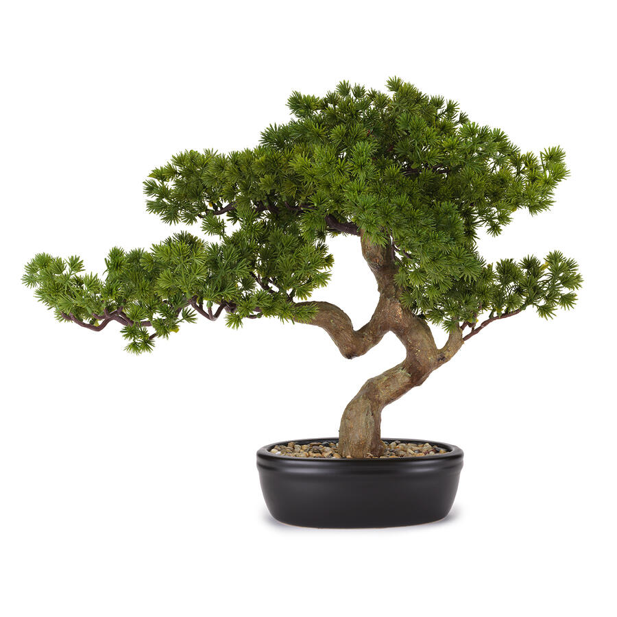 Henriette - Bonsai Pino con Vaso in Ceramica – Fiori Artificiali Multicolor 56×43 cm | Collezione Flowers
