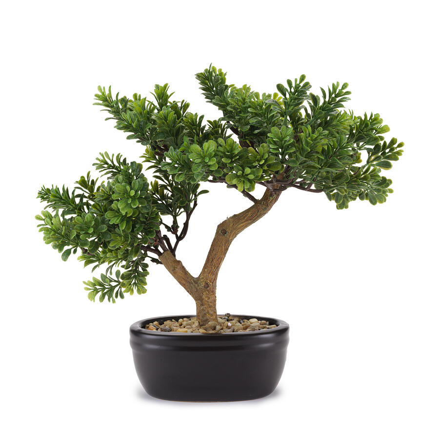 Henriette - Bonsai Cedro con Vaso in Ceramica – Fiori Artificiali Multicolor 35×31 cm | Collezione Flowers