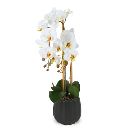 Henriette - Pianta Orchidea 2 Rami Real Touch con Vaso in Ceramica – Fiori Artificiali Multicolor 15×55 cm | Collezione Flowers