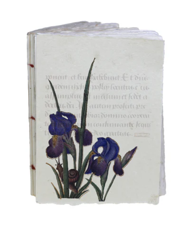 Notebook artigianale A6 (10x15 cm) – “Iris” di Anna di Bretagna - Taccuino in carta pergamena