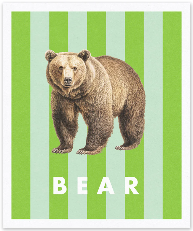 Natural History Museum - stampa in risograph 25x30 cm: Orso a righe