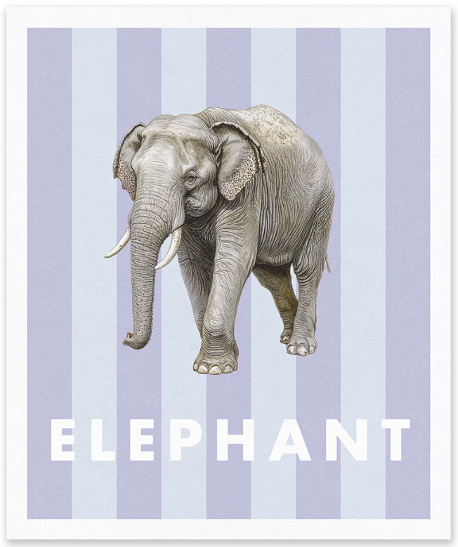 Natural History Museum - stampa in risograph 25x30 cm: Elefante a righe