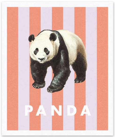 Natural History Museum - stampa in risograph 25x30 cm: Panda a righe