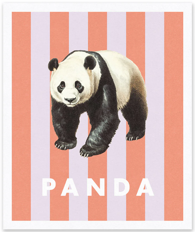 Natural History Museum - stampa in risograph 25x30 cm: Panda a righe