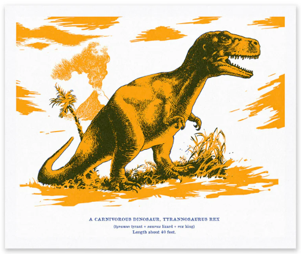 Natural History Museum - stampa in risograph 25x30 cm: T-Rex