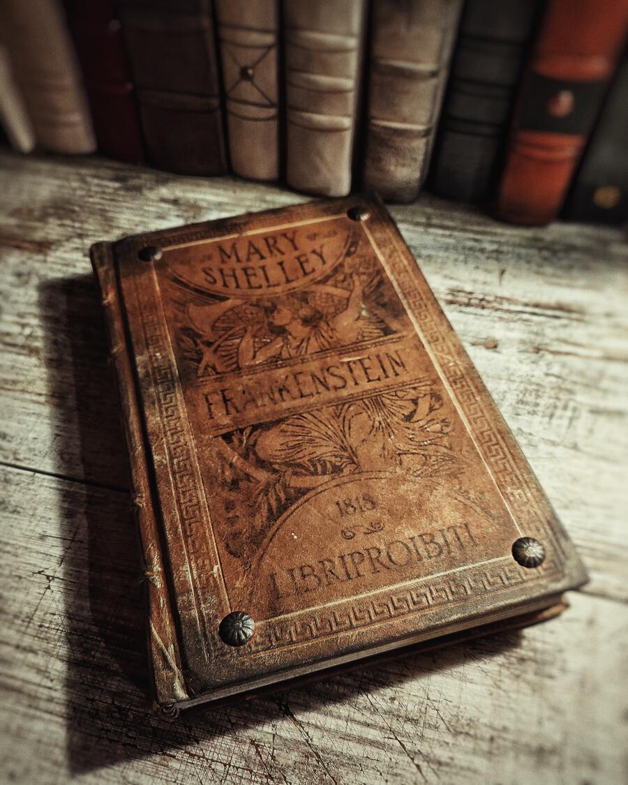 FRANKENSTEIN, or the Modern Prometheus, by Mary Shelley