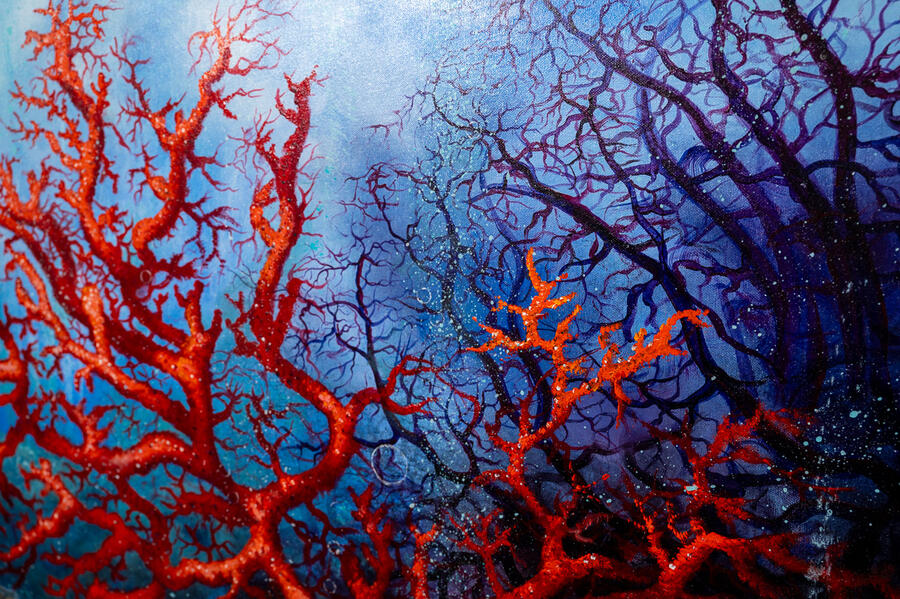 Fondale marino cm 180x80