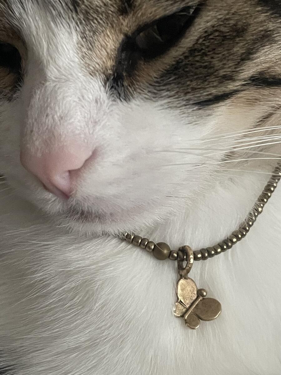 Workshop perline a merenda_Autunno 25