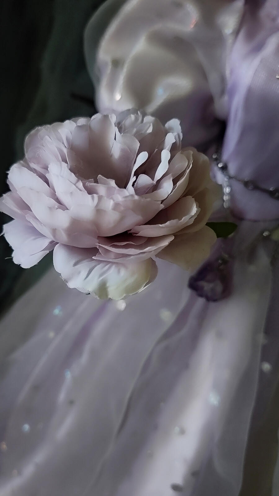 Ardea il Fantasma di Ametista