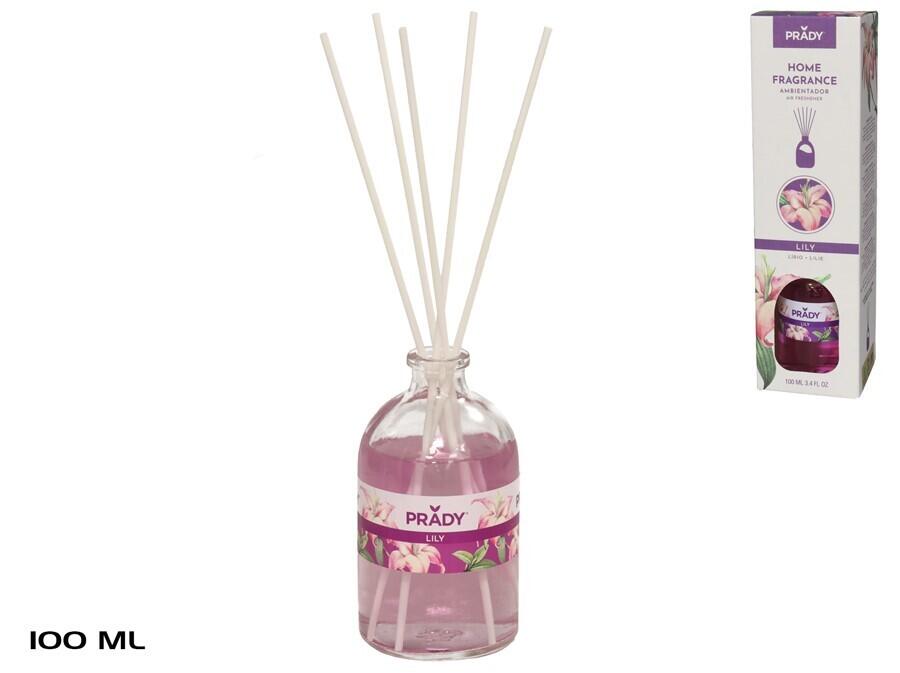 PRADY DIFFUSORE 100 ML (Confezione da 48 pezzi) 