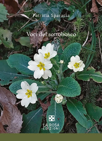 Patrizia Sparacìa - Voci del sottobosco