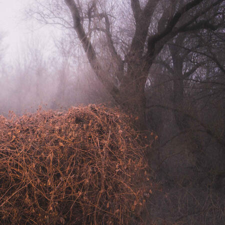 THE DEVIL'S TRADE -  NINCS SZENNYEZETLEN SZEP -