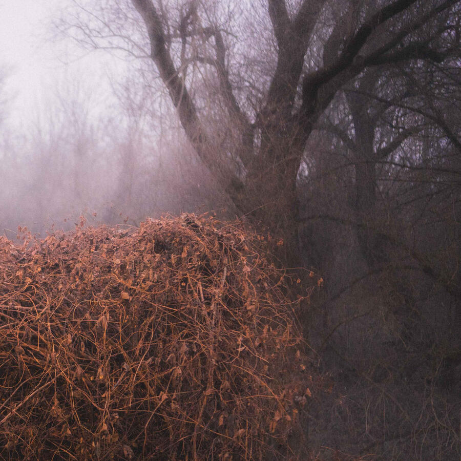 THE DEVIL'S TRADE -  NINCS SZENNYEZETLEN SZEP -