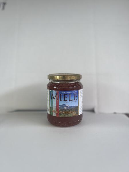 Miele di Millefiori gr.500