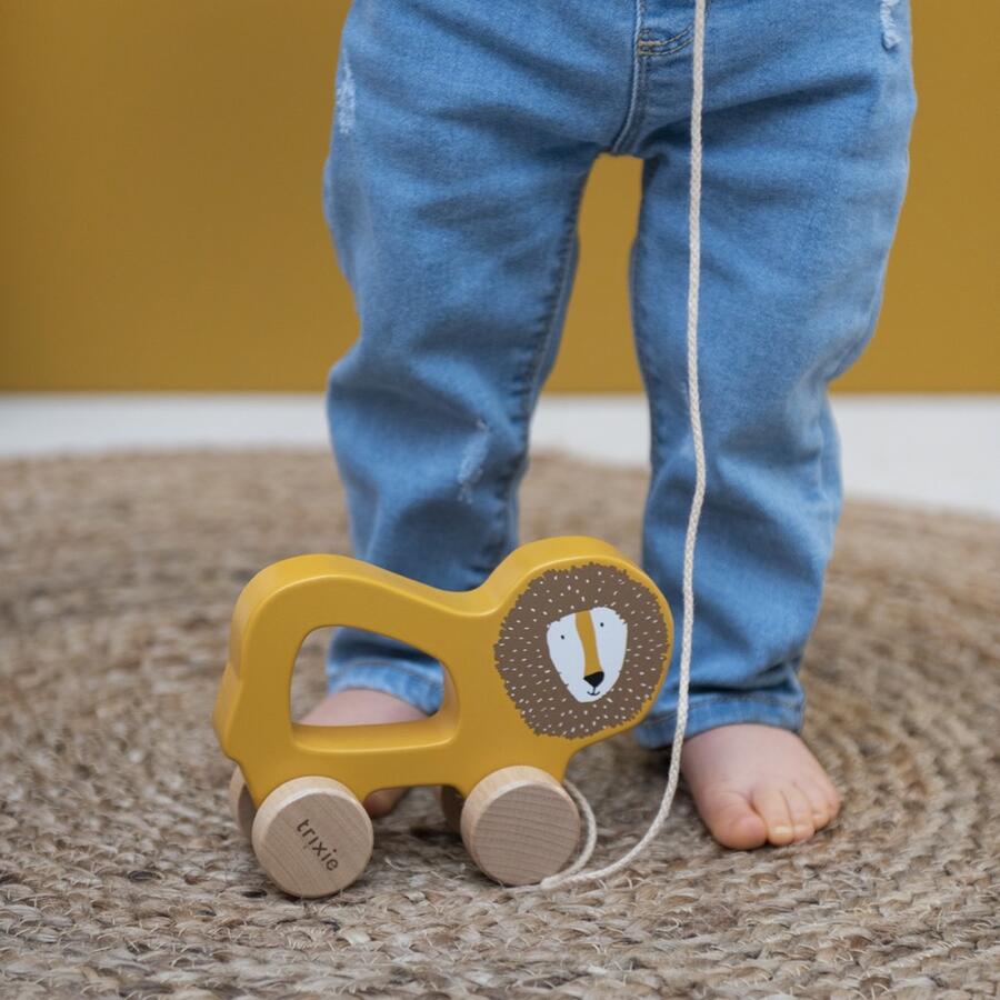 Giocattolo a tirare in legno FSC® – Assortiti