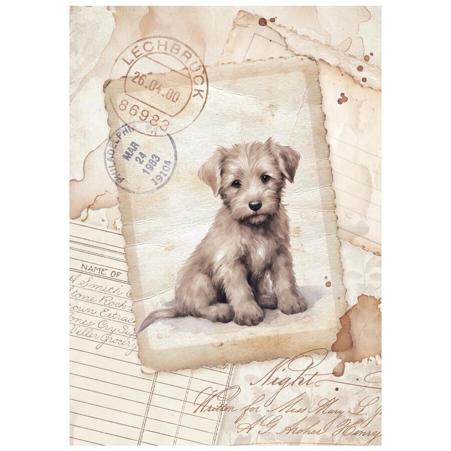 Selezione 8 Carta di riso Fto A6 Quiet Days