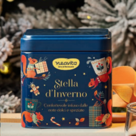 Neavita - Barattolino di Natale blu
