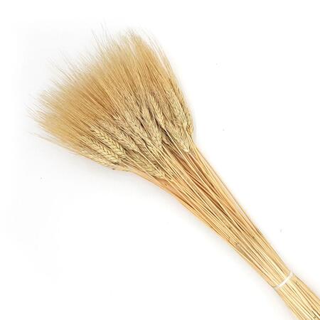 Spighe di Grano GR.200 IN BUSTA - Naturali