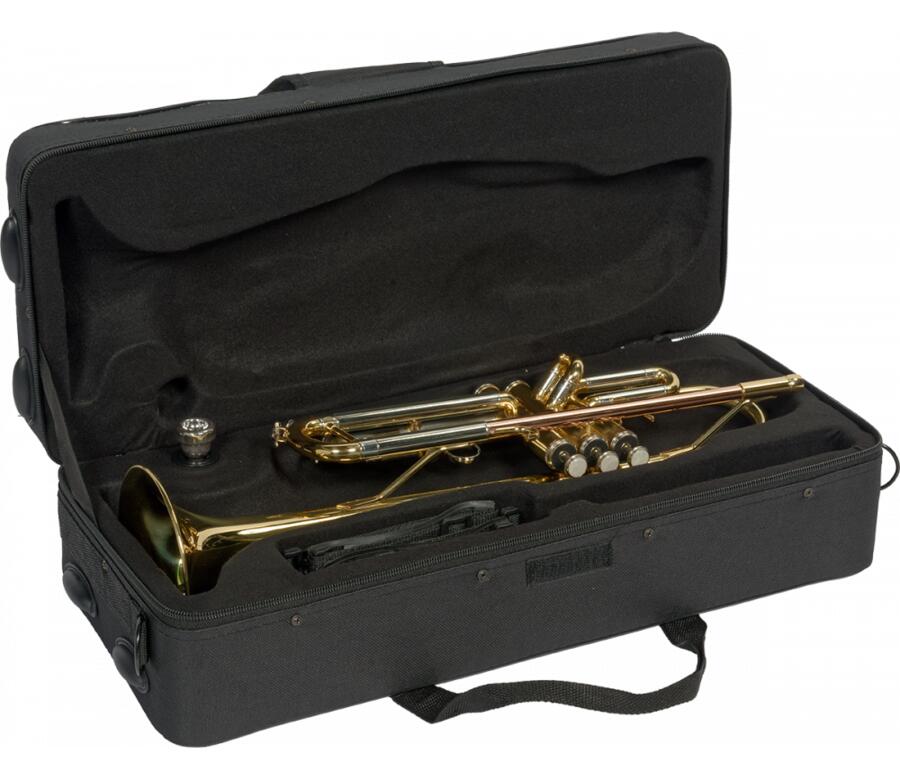 SML Paris VSM TP300 Tromba Sib