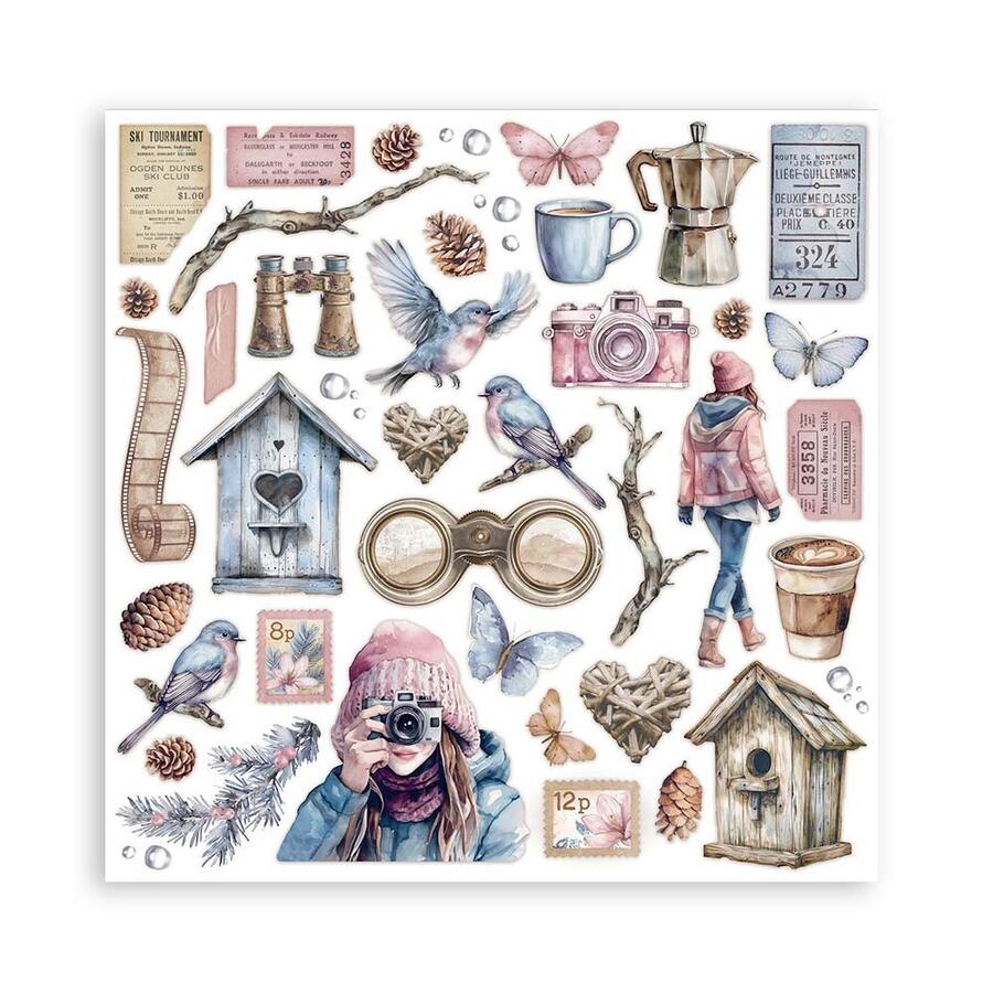 Blocco 10 fogli 20,3 x 20,3 Double Face Dewdrops