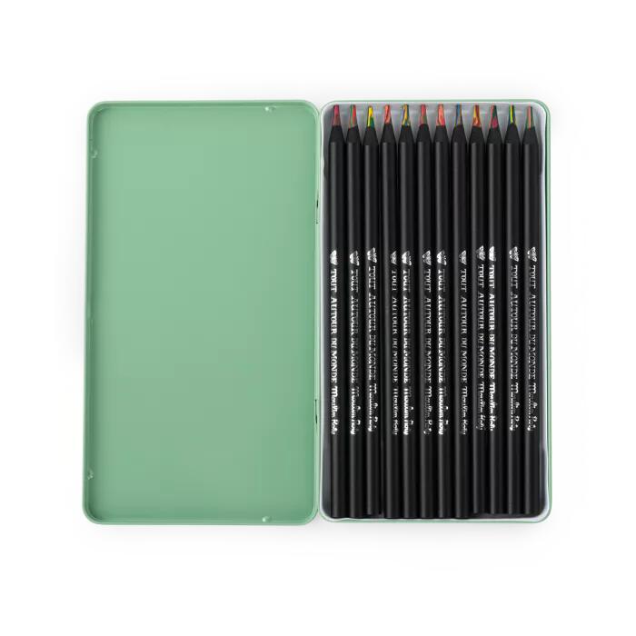 12 matite multicolori Tout autour du Monde in scatola di metallo