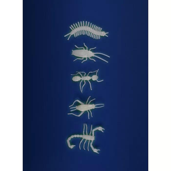 5 insetti fosforescenti