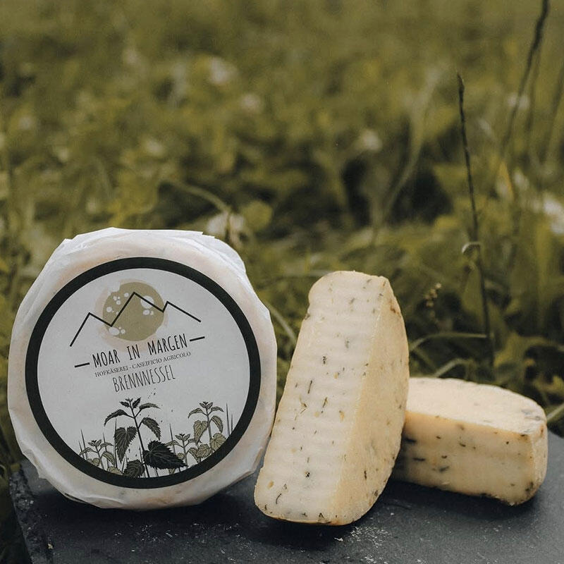 BRENNNESSEL MOAR IN MARGEN SUDTIROL