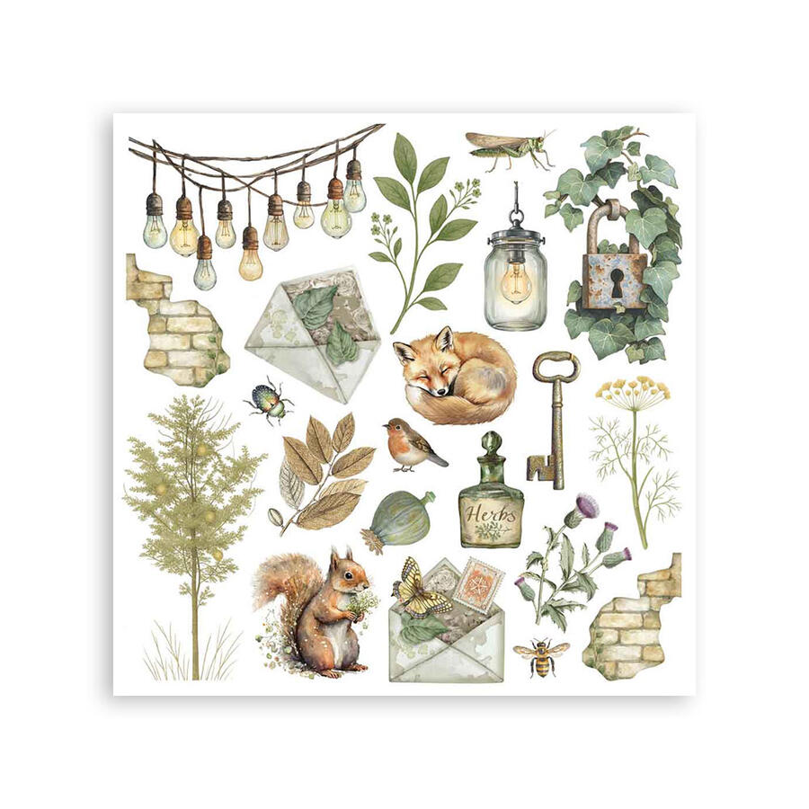 Rub on kit Herbarium Silvae 6 pagine