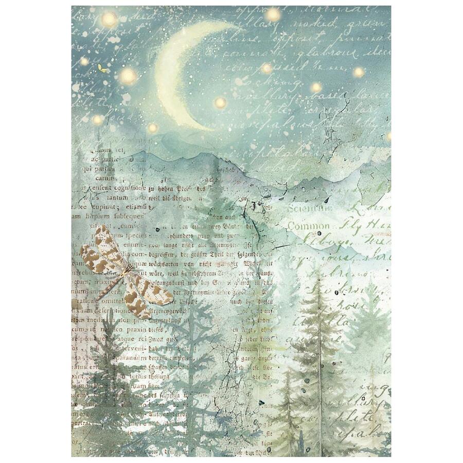 Selezione 8 Carta di riso Fto A6 Herbarium Silvae