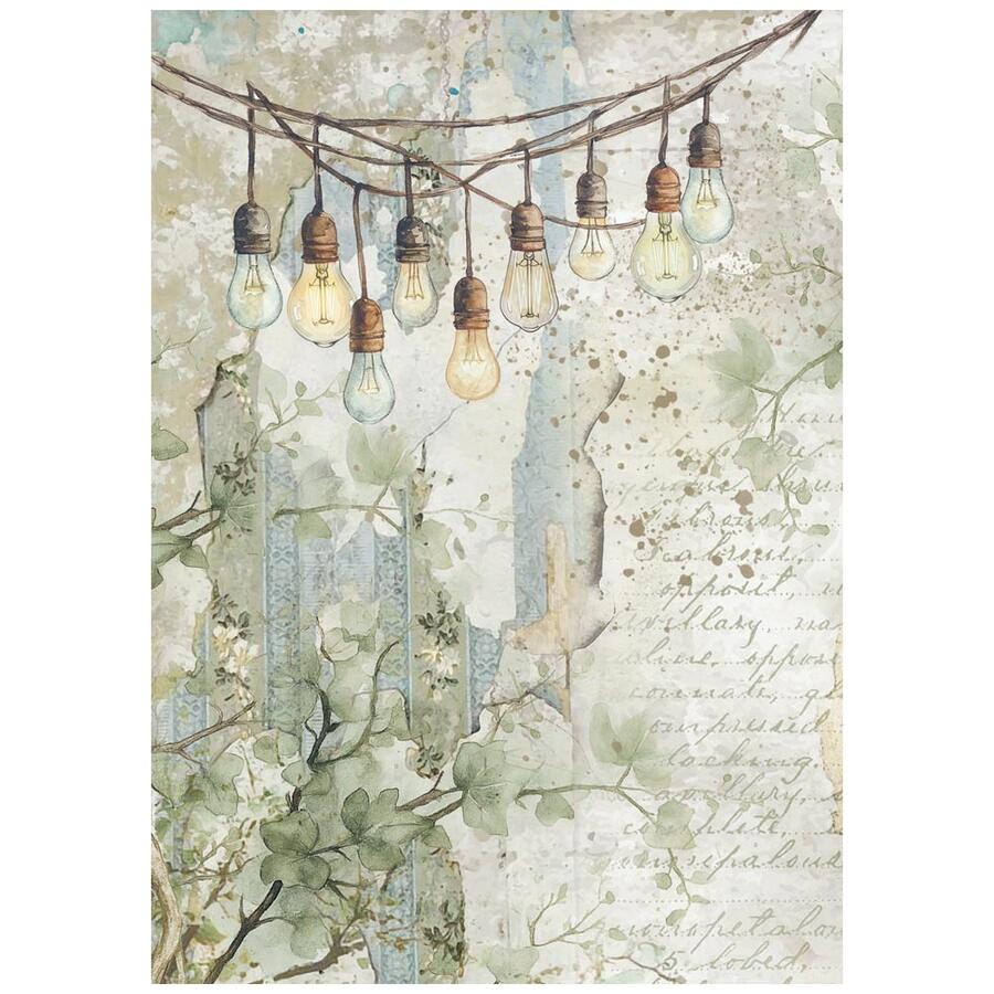 Selezione 8 Carta di riso Fto A6 Backgrounds Herbarium Silvae