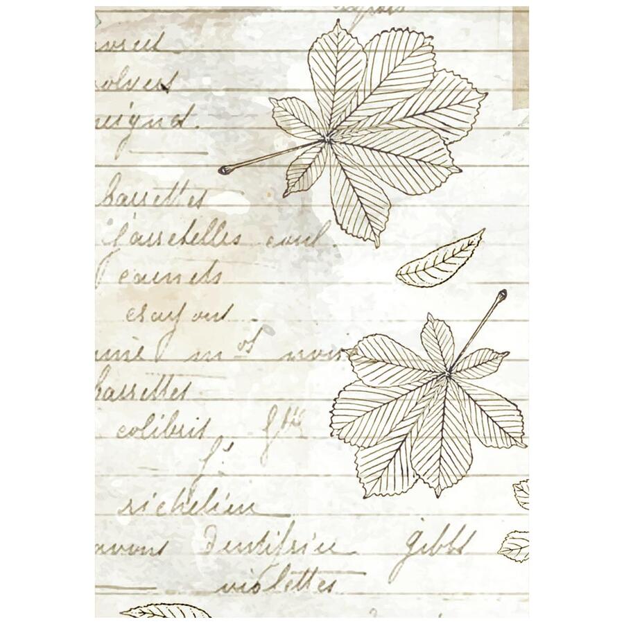 Selezione 8 Carta di riso Fto A6 Backgrounds Herbarium Silvae