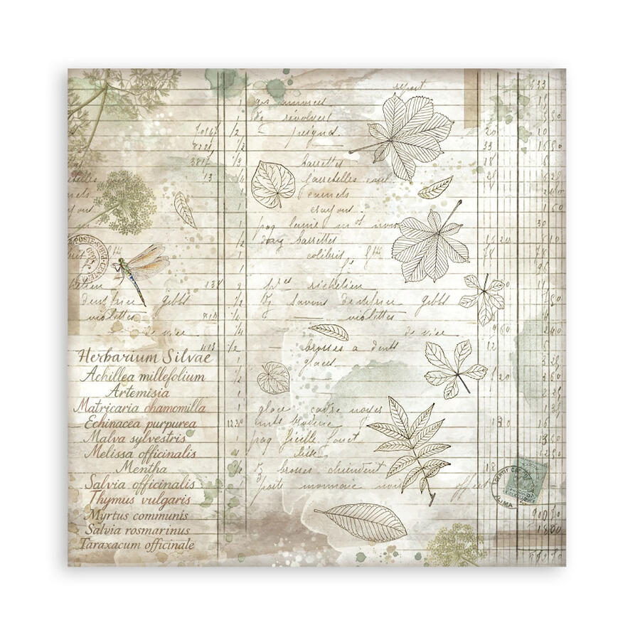Blocco 10 fogli 30,5 x 30,5 Double Face Backgrounds Herbarium Silvae