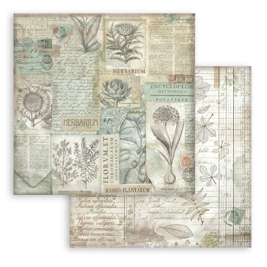 Blocco 10 fogli 20,3 x 20,3 Double Face Backgrounds Herbarium Silvae
