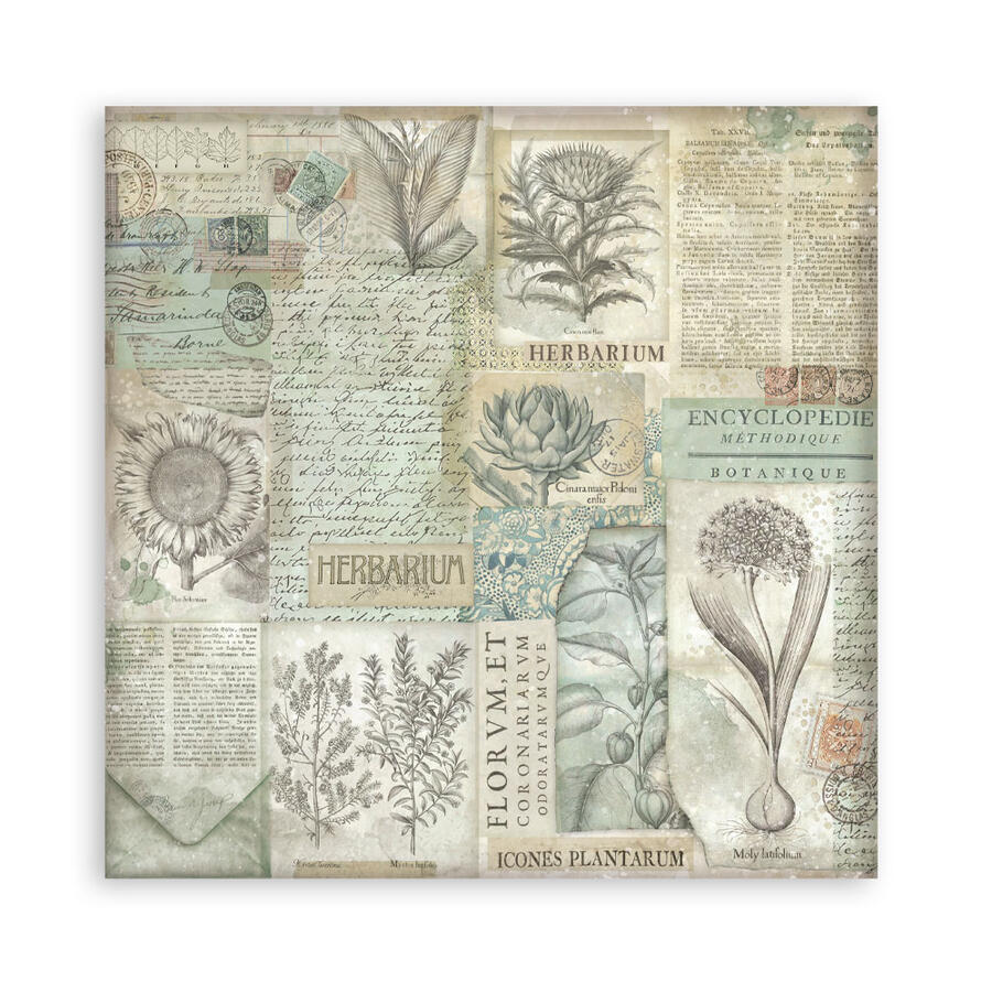 Blocco 10 fogli 20,3 x 20,3 Double Face Backgrounds Herbarium Silvae