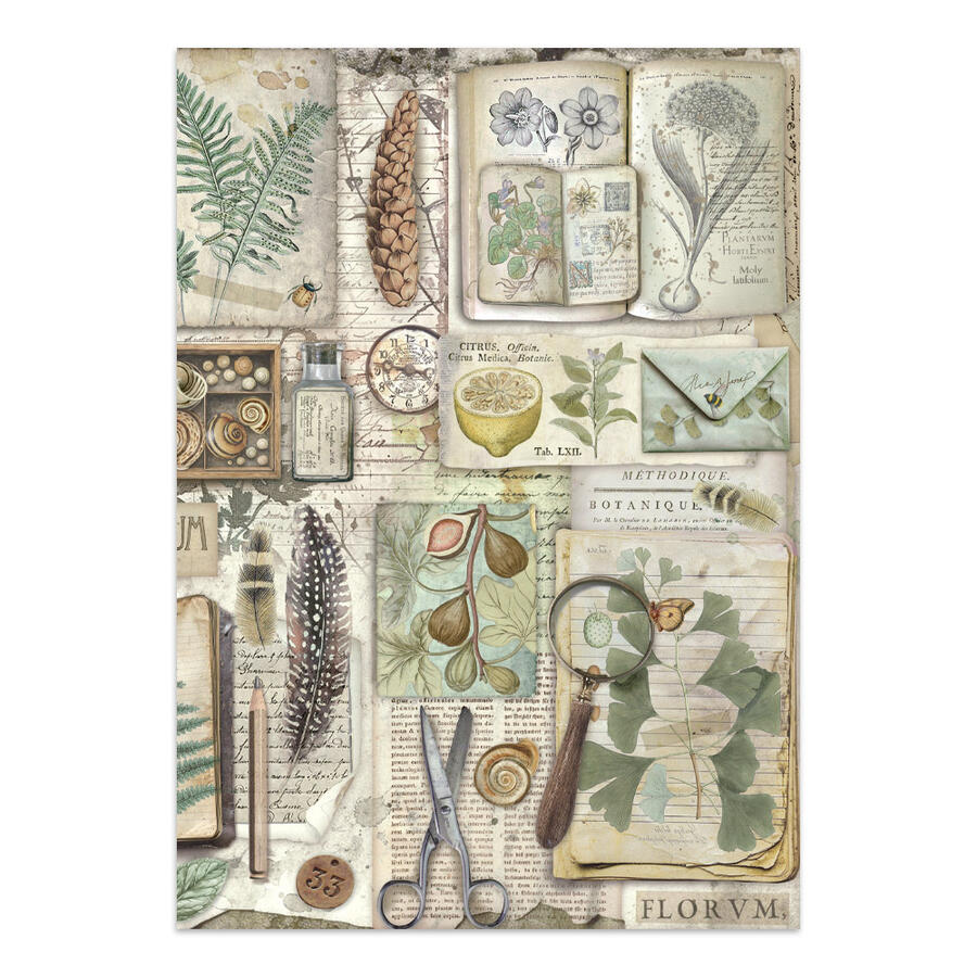 Junk Journal stickers, cut-outs, backgrounds Herbarium Silvae