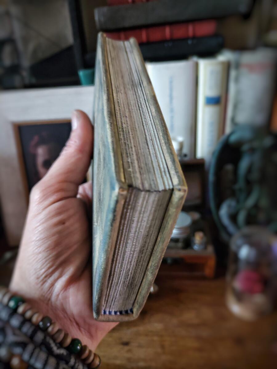 Copia di Advanced Potion Making - Severus Snape (Severus Piton) - Harry Potter - The complete book with an additional herbal and bestiary