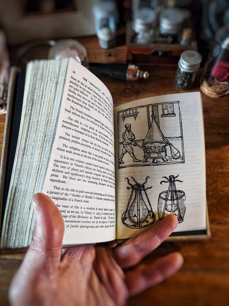 Copia di Advanced Potion Making - Severus Snape (Severus Piton) - Harry Potter - The complete book with an additional herbal and bestiary