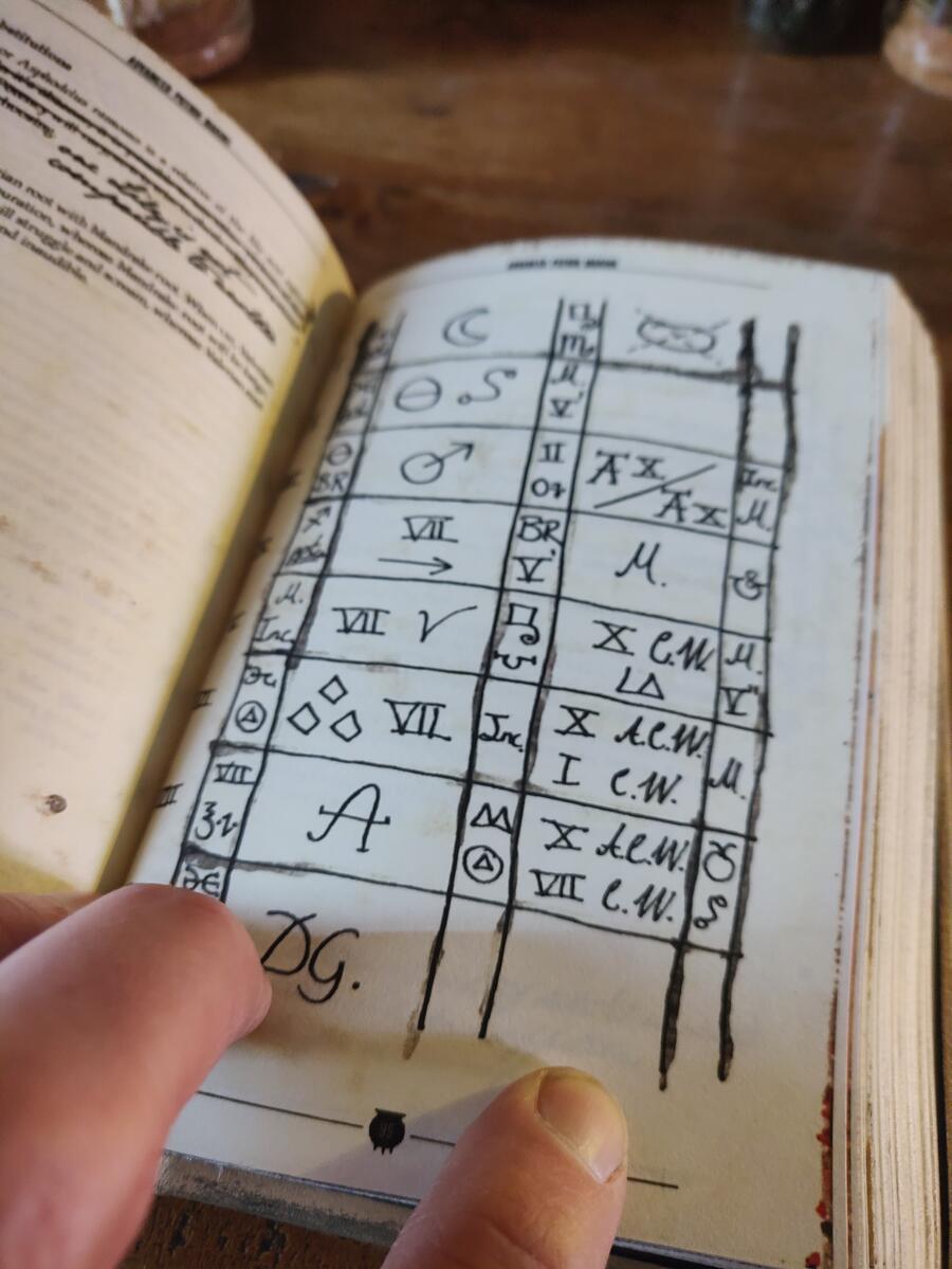 Copia di Advanced Potion Making - Severus Snape (Severus Piton) - Harry Potter - The complete book with an additional herbal and bestiary