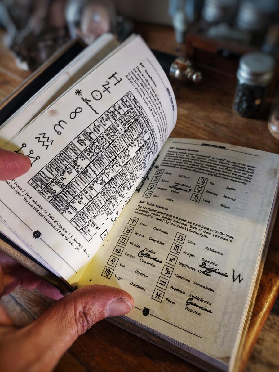 Copia di Advanced Potion Making - Severus Snape (Severus Piton) - Harry Potter - The complete book with an additional herbal and bestiary