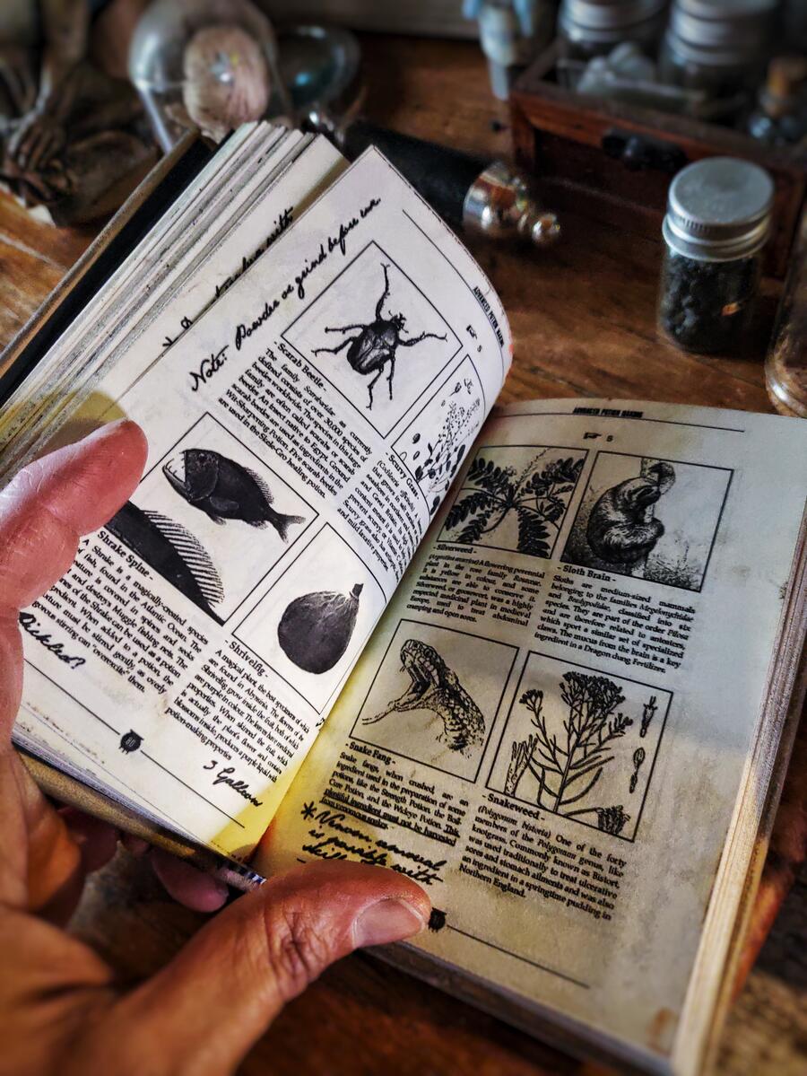 Copia di Advanced Potion Making - Severus Snape (Severus Piton) - Harry Potter - The complete book with an additional herbal and bestiary